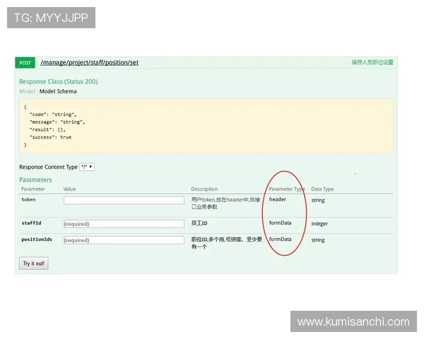 K8真人人会员申请常见问题解答及成功率提升技巧全方位解析