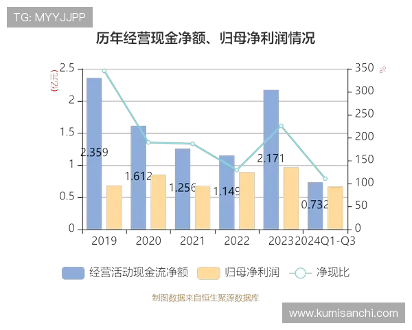 凯发集团怎么样：财务状况与盈利能力的详细评估报告