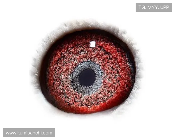 确保账号安全的实用指南：AG国际真人版会员注册后的安全设置和隐私保护措施